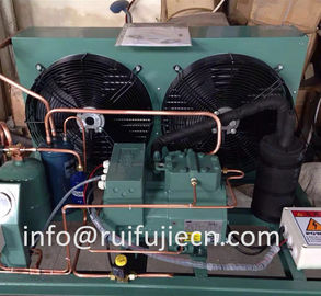 주문 단위 - Spb09kl Bitzer 모형 4Tes-9y를 위한 공기에 의하여 냉각되는 콘덴서 단위 online manufacture