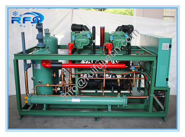 주문 2 나사 압축기 냉각기 콘덴서 단위 R404A 380V 50HZ 모형 DM2B20RFL online manufacture