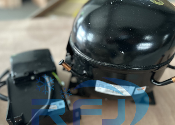 주문 EMS6170Z 냉각 압축기 R134a 220~240V-1-50Hz 1단계 online manufacture