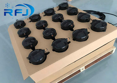 주문 Zb21kqe -피프제이 R134a 2 톤 단일 상 코펠랜드 압축기 online manufacture